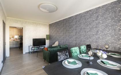 4-комнатная квартира. Московская область Борисовка ул.